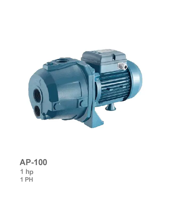 الکتروپمپ خودمکش تکفاز پنتاکس مدل AP-100