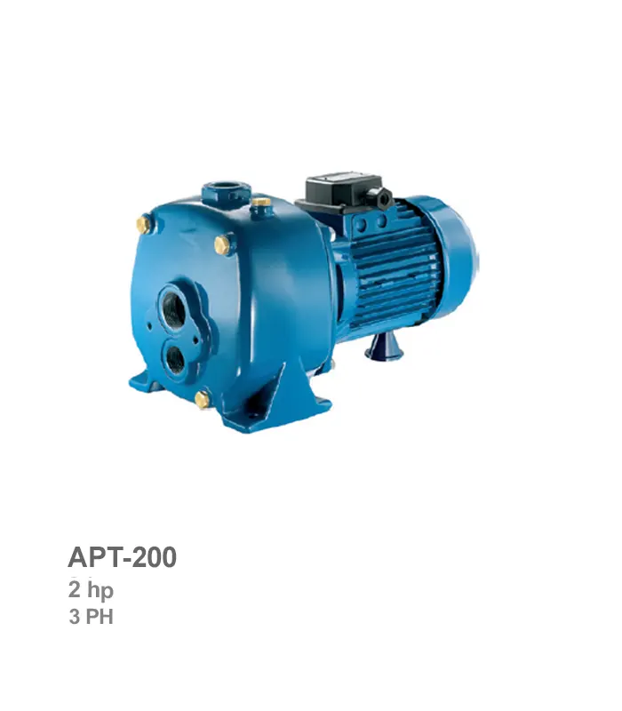 الکتروپمپ خودمکش سه فاز پنتاکس مدل APT-200 - تصویر 1