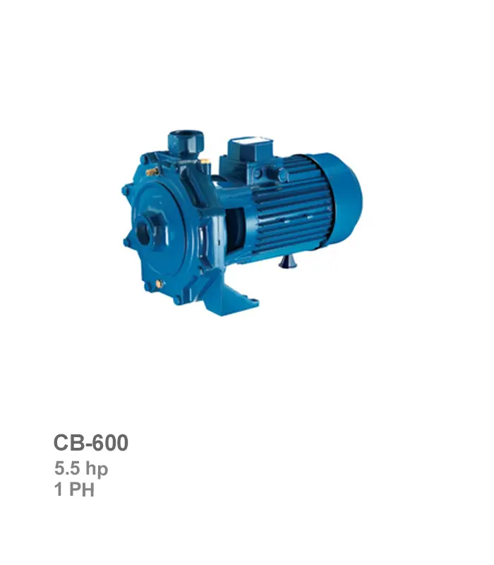پمپ سانتریفیوژ دوپروانه تکفاز پنتاکس مدل CB-600