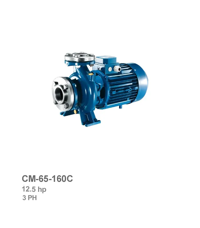 پمپ سانتریفیوژ منوبلاک سه فاز پنتاکس مدل CM-65-160C