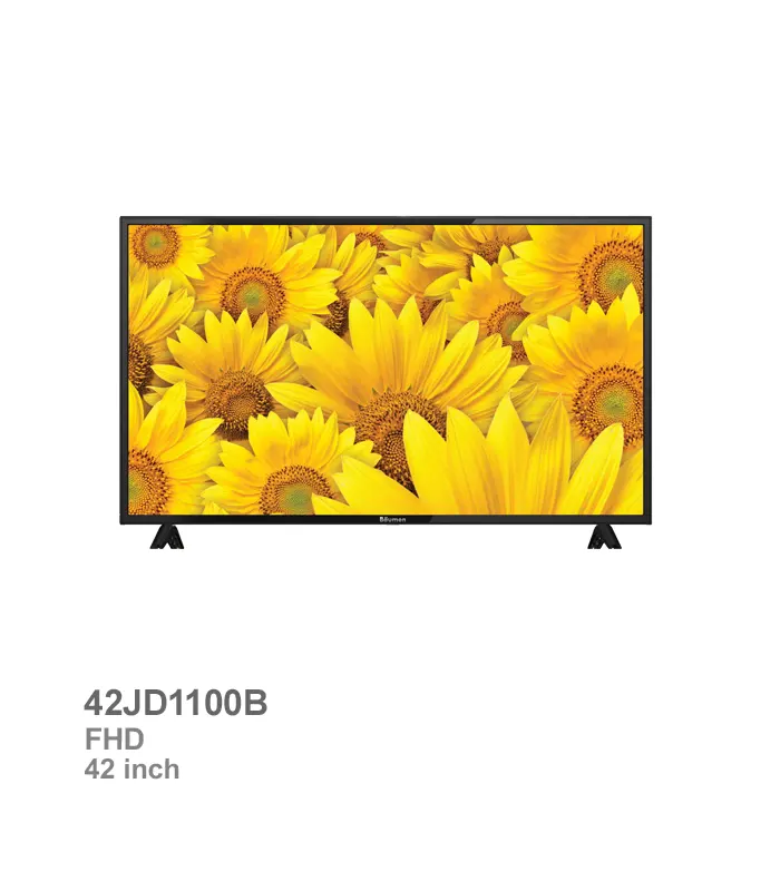 تلویزیون 42 اینچ LED بویمن مدل 42JD1100B