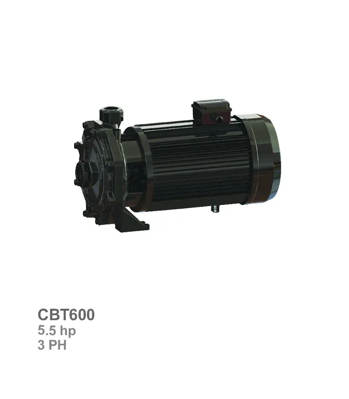پمپ آب سهفاز دو پروانه سمنان انرژی مدل CBT600 - تصویر 1
